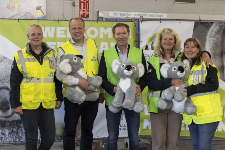 AFKLM Cargo welcomes the Netherlands’ first and only Koalas