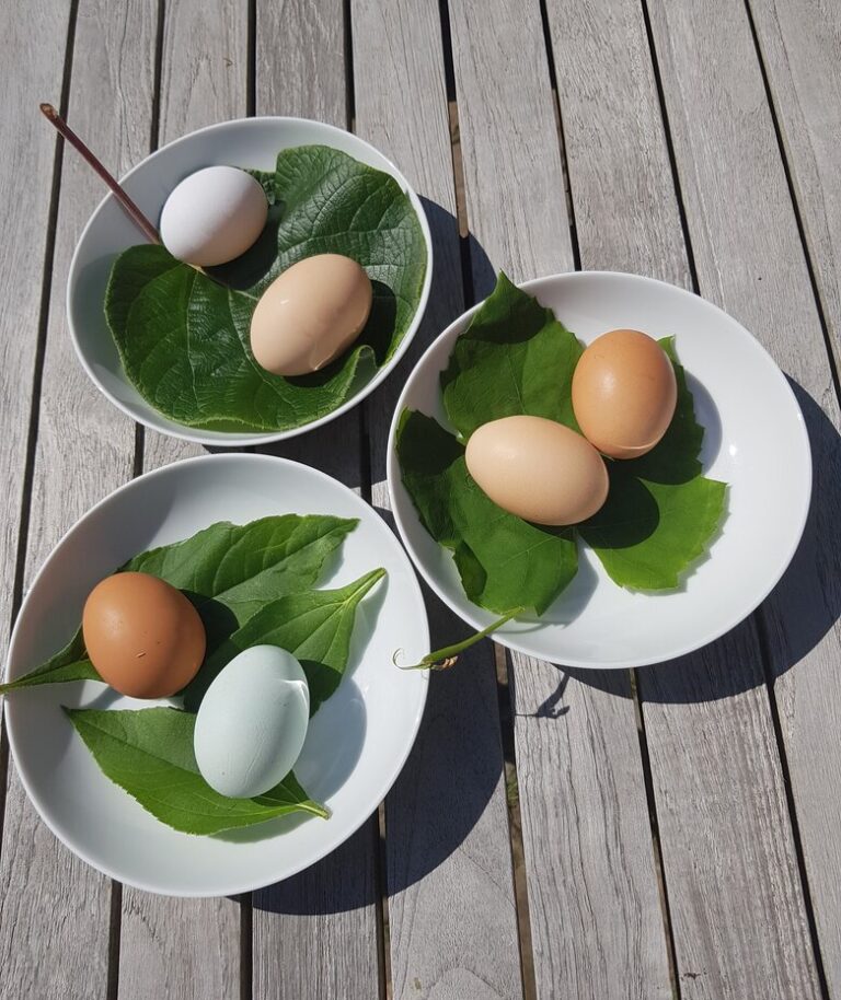 Supply chains: Don’t put all your eggs in one basket