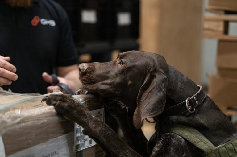 WFS counts on Global K9 for screening in DFW and IAH