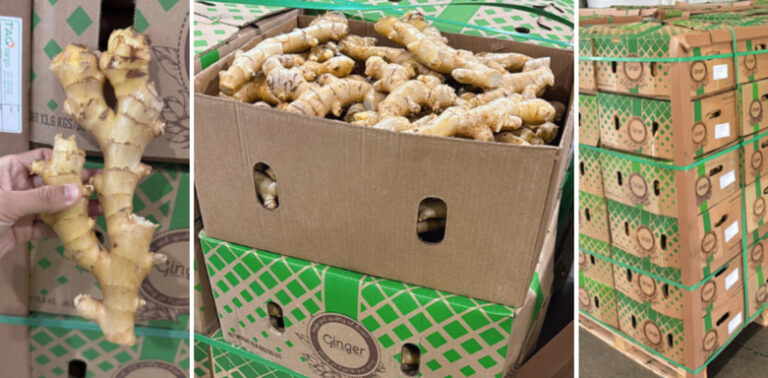 American Airlines Cargo transports 900+ tons of ginger