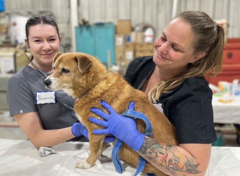 WestJet Cargo assists CAAT in volunteer vet mission