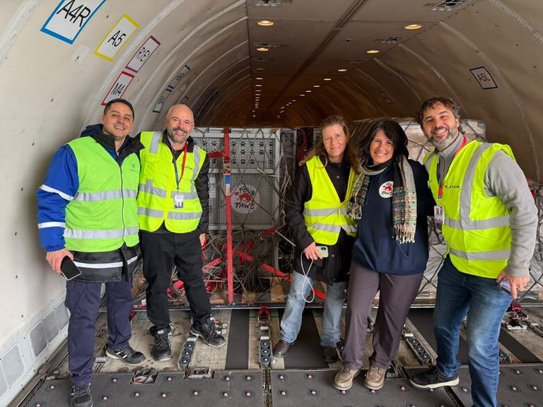 When air cargo goes wild for a good cause